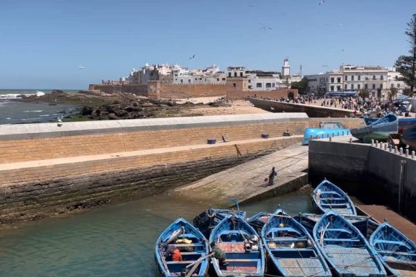 Essaouira Tagesausflug ab Agadir – Küstenstadt entdecken