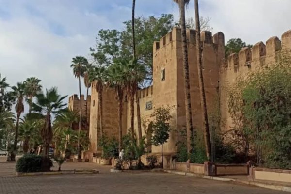 Palmenoase Tiout & Taroudant – Tradition & Natur vereint