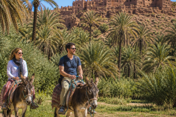 Palmenoase Tiout & Taroudant – Tradition & Natur vereint