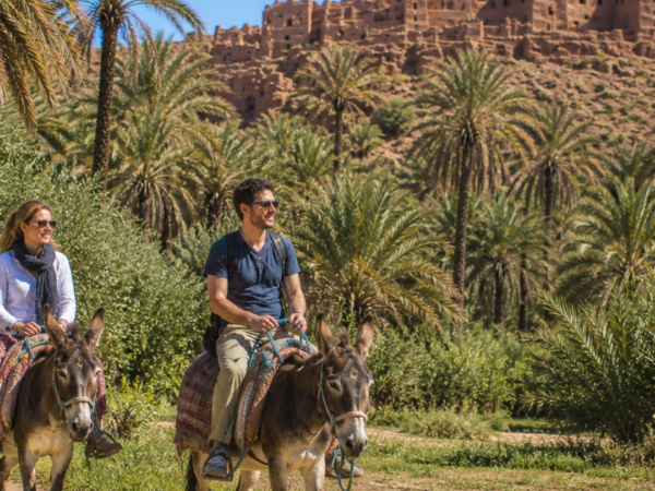 Palmenoase Tiout & Taroudant – Tradition & Natur vereint