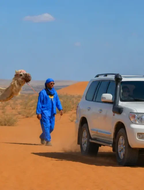Jeep Landausflug Agadir: Dünen & Souss-Massa Nationalpark